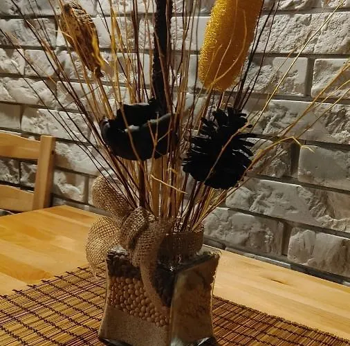 šitavanc Apartamento *
